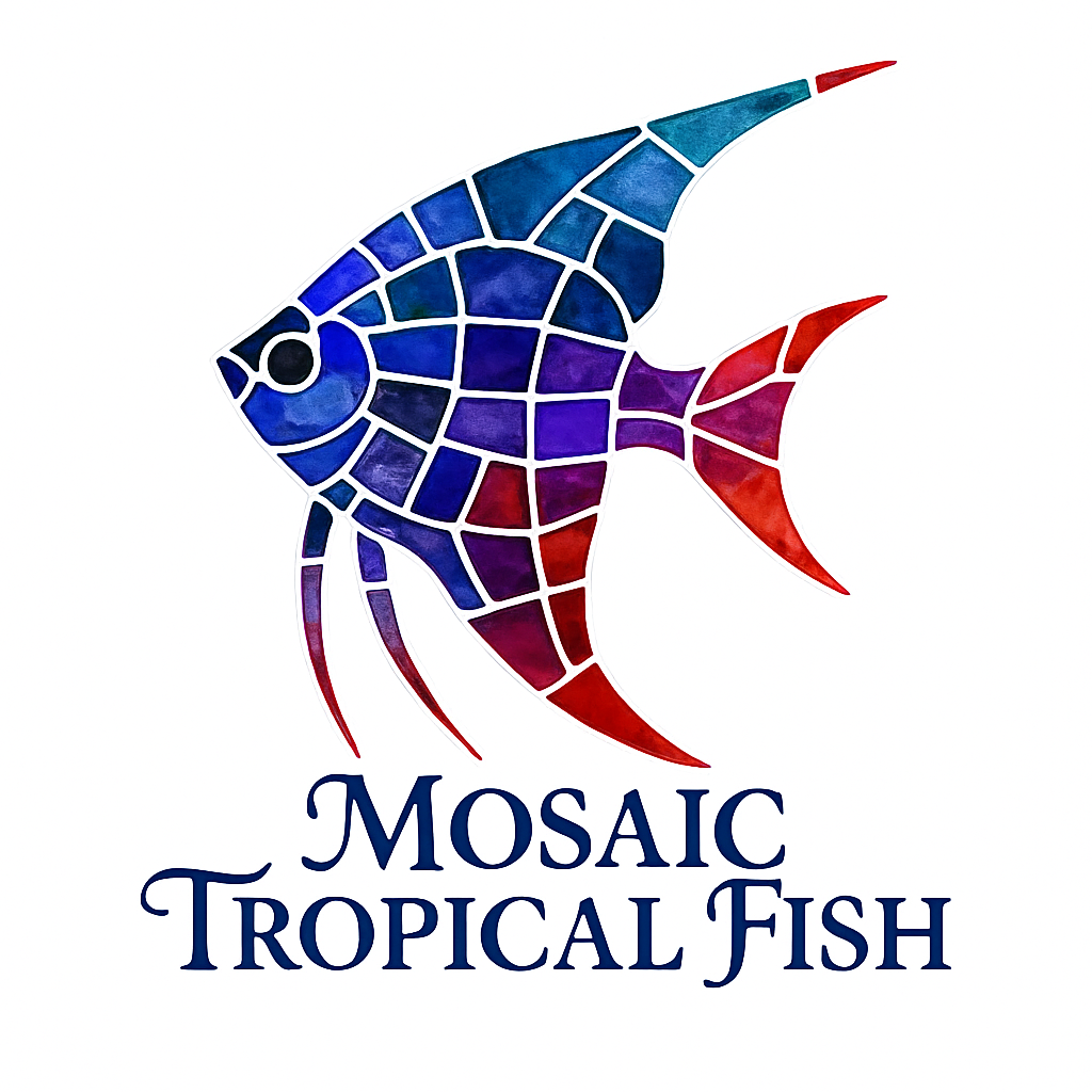 Mosaic Tropical Fish | Buy Colorful Freshwater Fish – Live Arrival